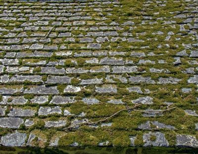 Bio3d-demoussage-toiture-tarn-aveyron